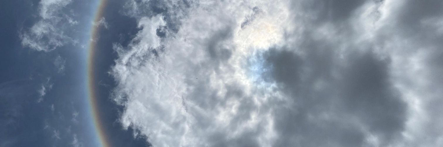 bumblesbzz's profile banner image