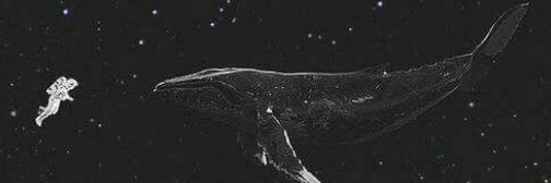 Majgutierrezc's profile banner image