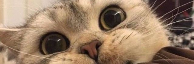 eaegab__'s profile banner image