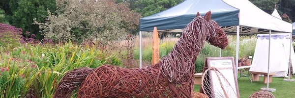 dragonwillow Profile Banner