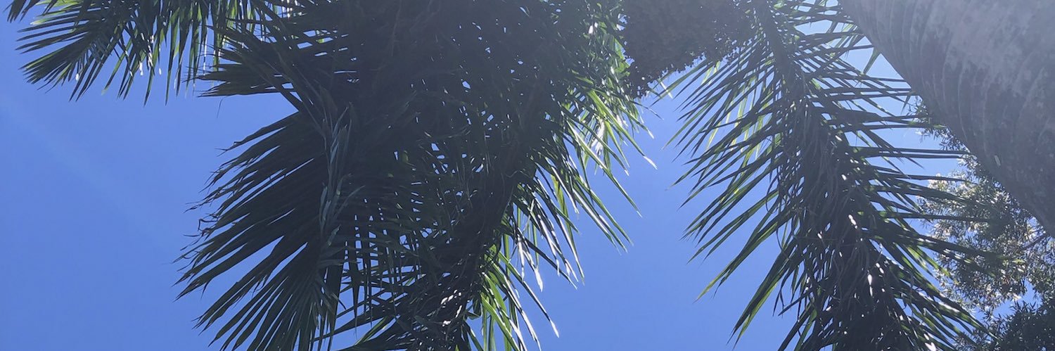 Sharesbearss's profile banner image