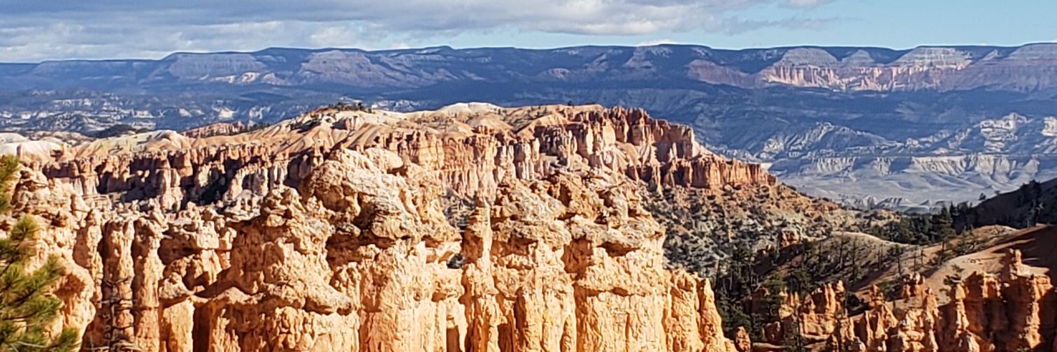 Laura Certain, MD, PhD banner