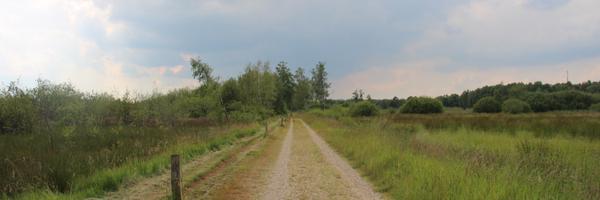 EvanBillups Profile Banner