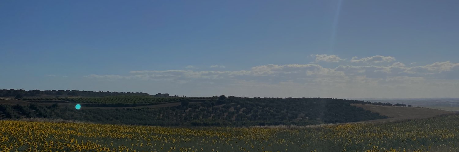 juliacmch's profile banner image