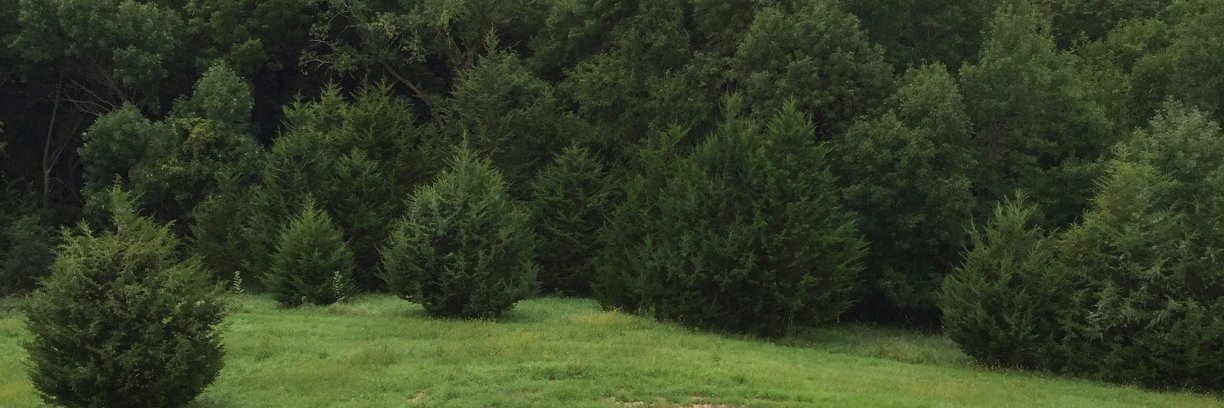 pmcgreg1's profile banner image