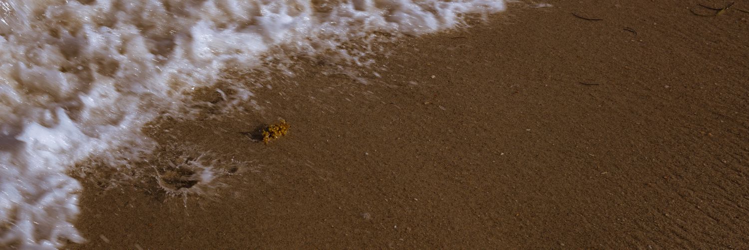 luiifeerr's profile banner image