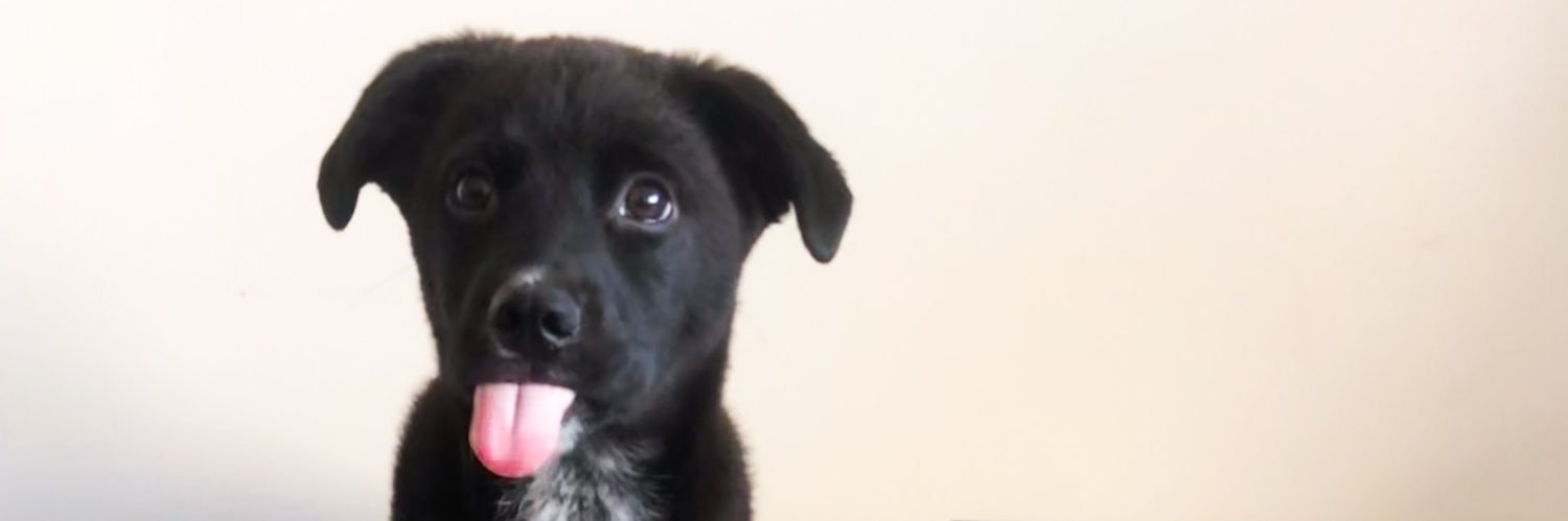 beccilynn3's profile banner image