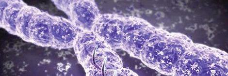 Andreas Chabicovsky banner