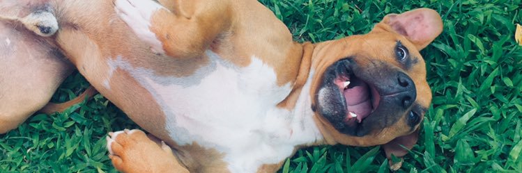 ConstanzaFrk's profile banner image
