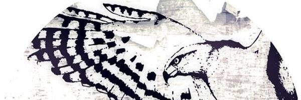 mattRiVEM Profile Banner