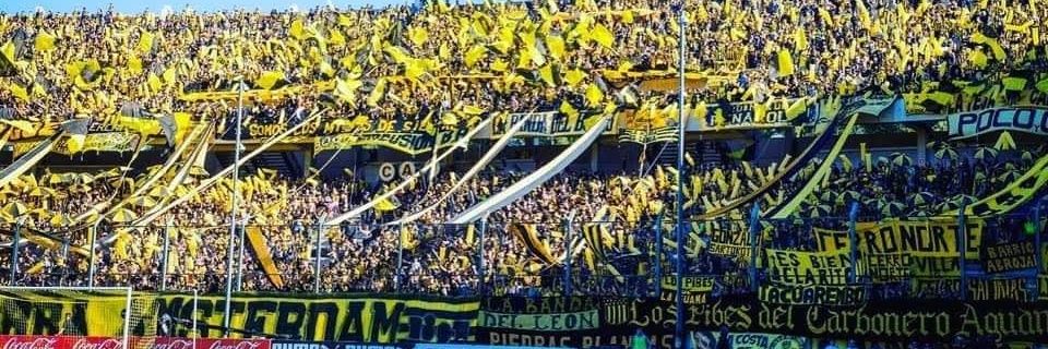 Maicol Schiappacasse banner