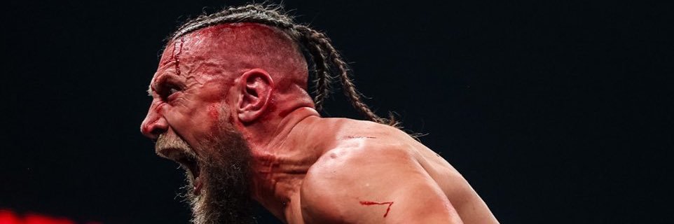 ShogunH13's profile banner image
