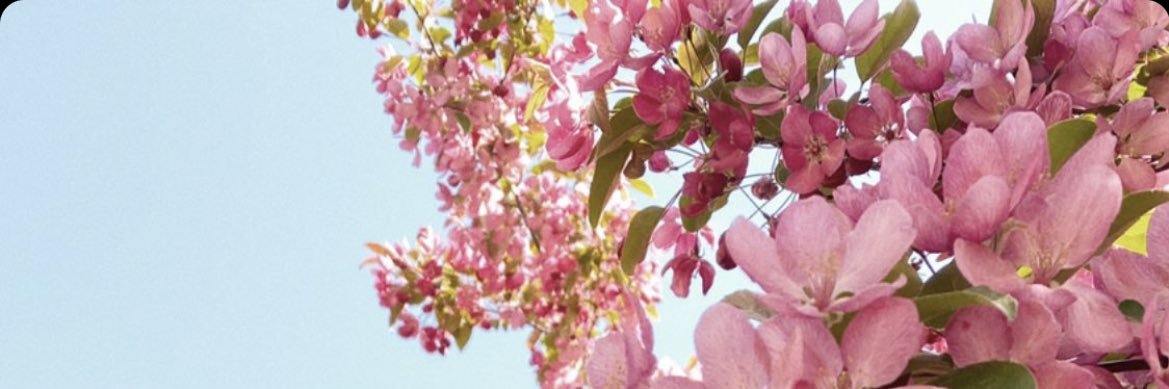 jomphecamille's profile banner image