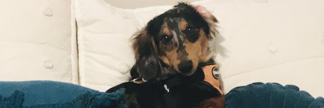 hannah_bend's profile banner image