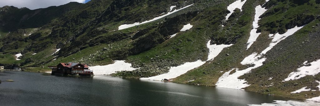 Octavian Gabor banner