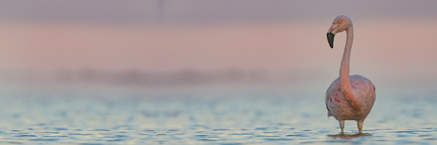 MiramarCba's profile banner image