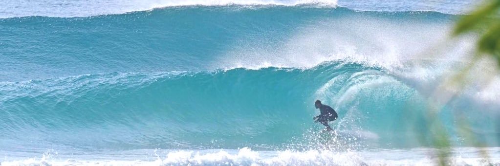 SurfRanch Vibes banner