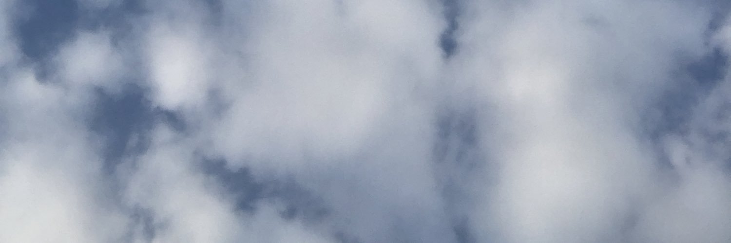 Tsubukisan's profile banner image