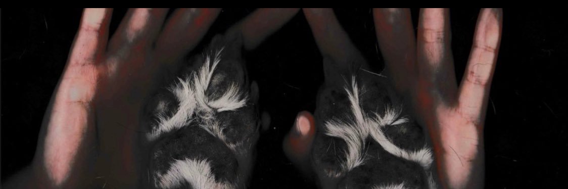 stemslayerr's profile banner image