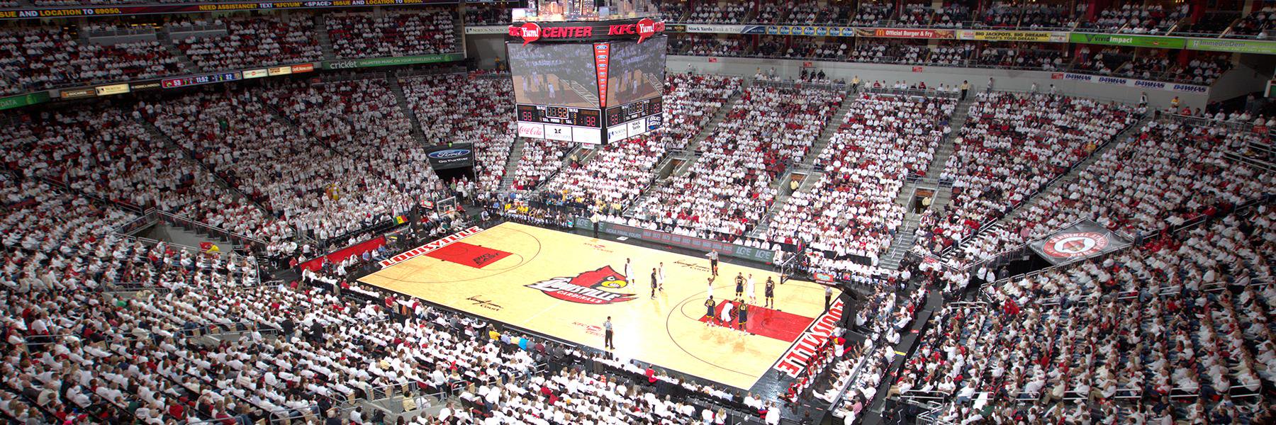 Kim Pemberton banner