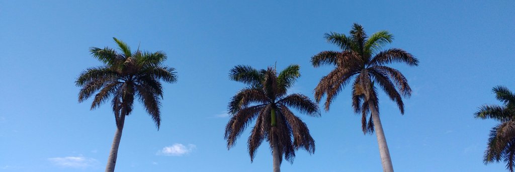 brunitow8's profile banner image