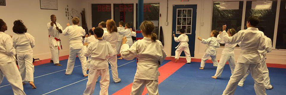 Mason Martial Arts banner