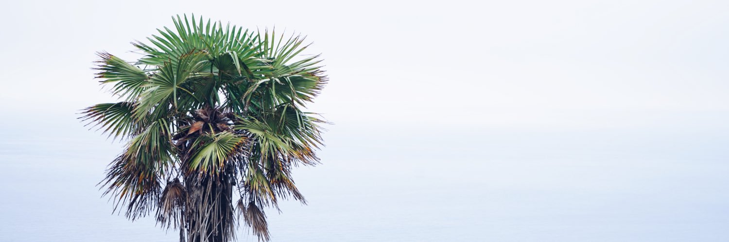 HelenaRamos5's profile banner image