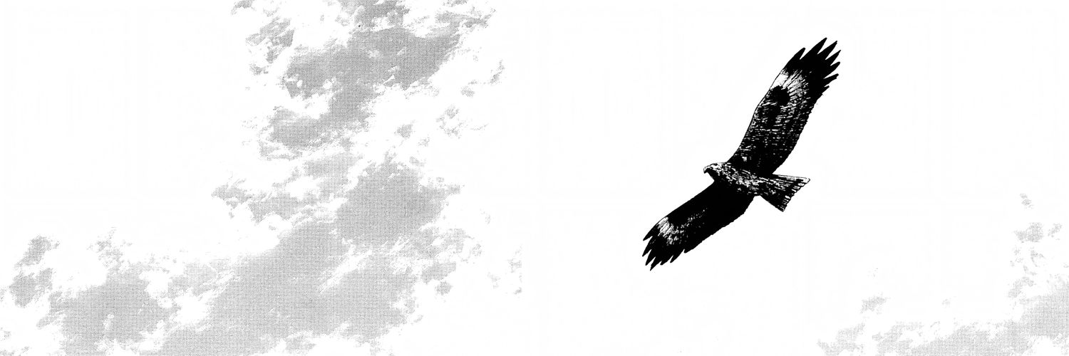 hayatei 🗡️'s banner