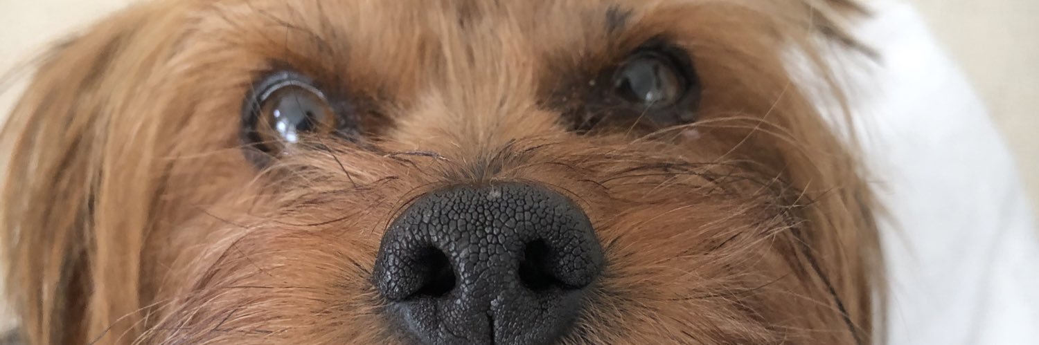 luulimaaaa's profile banner image