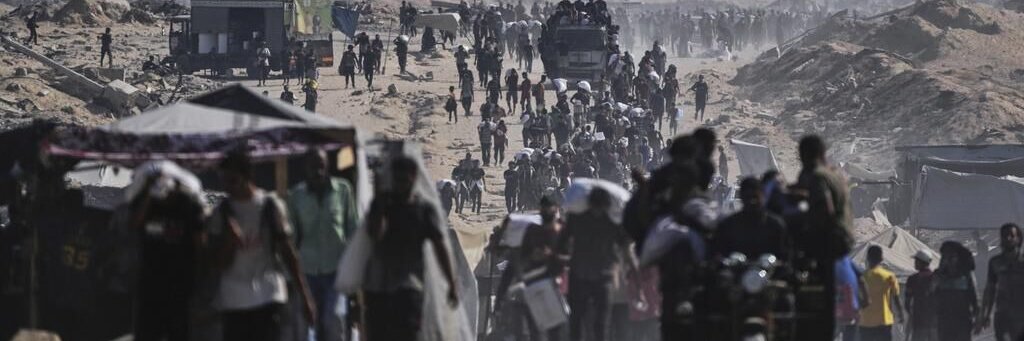 Ana García D'Atri banner