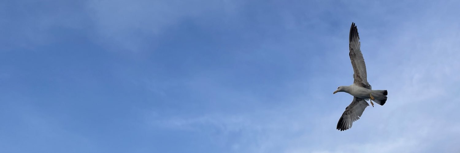 yalindrella's profile banner image