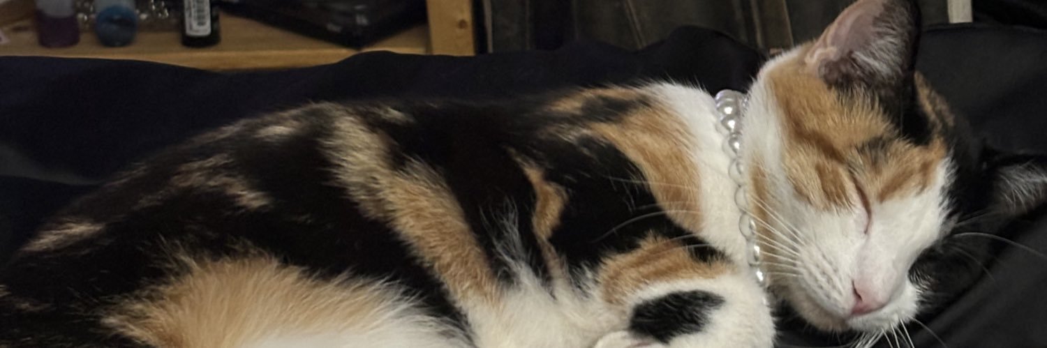 donblucky's profile banner image