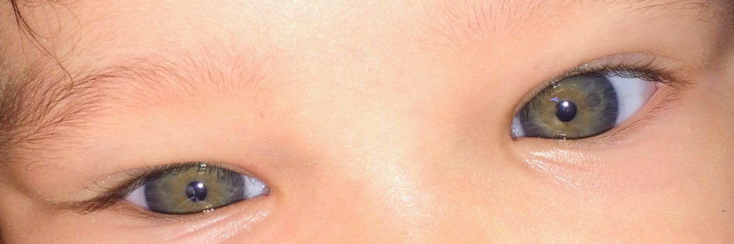 EddibelTorres's profile banner image