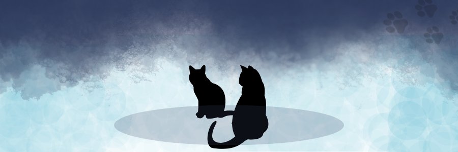 s520828's profile banner image