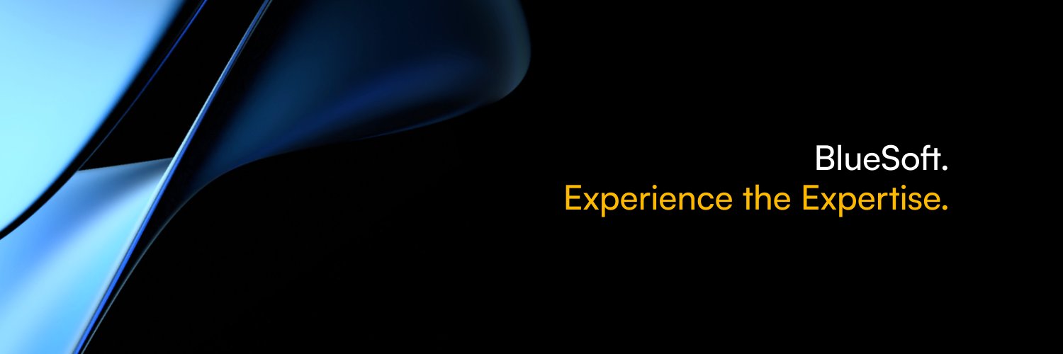 BlueSoft Sp. z o.o. banner