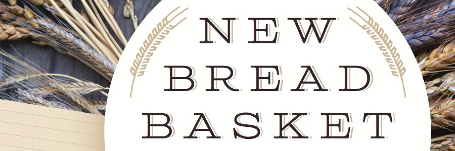 Amy Halloran banner