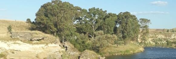 festuok's profile banner image