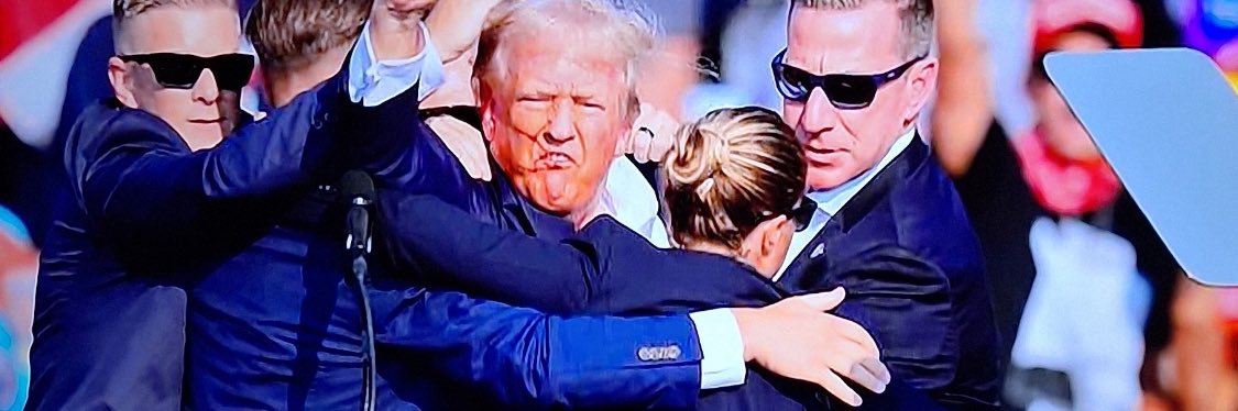 Robert Newell banner