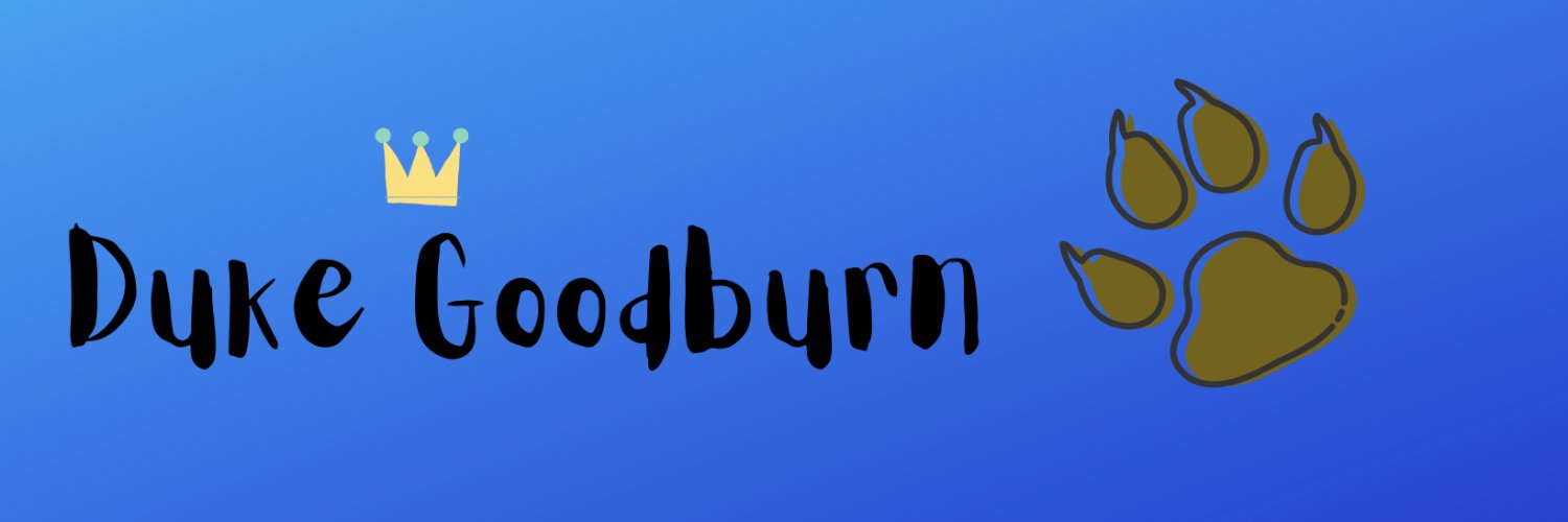 DukeGoodburn's profile banner image