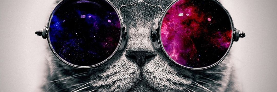 CastoMalissa's profile banner image