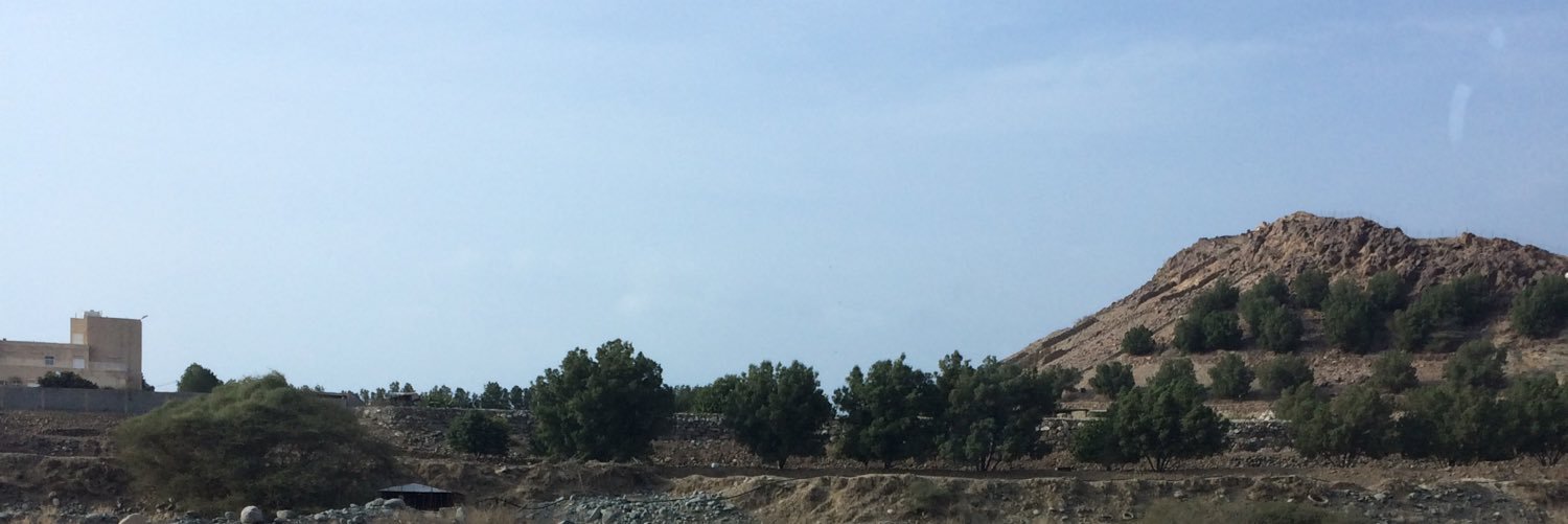 saudahmari's profile banner image