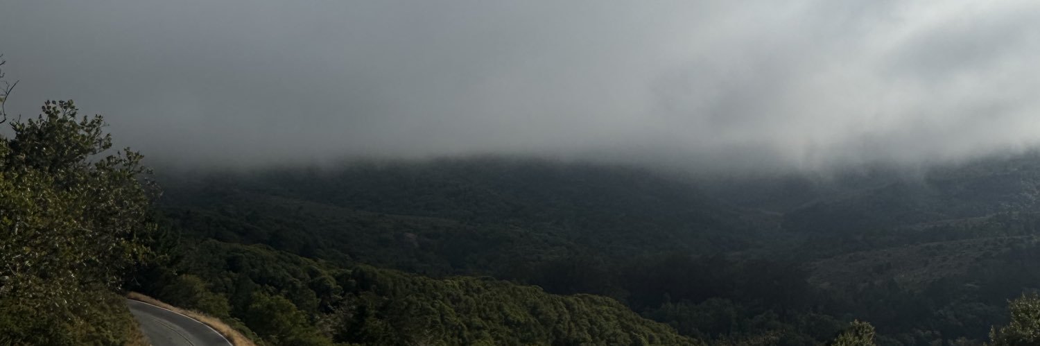 violetaisrad's profile banner image
