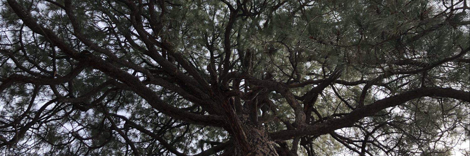 Tantalus__'s profile banner image