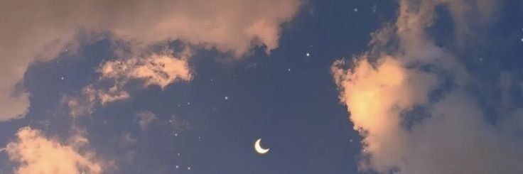 Fleurdxlin's profile banner image