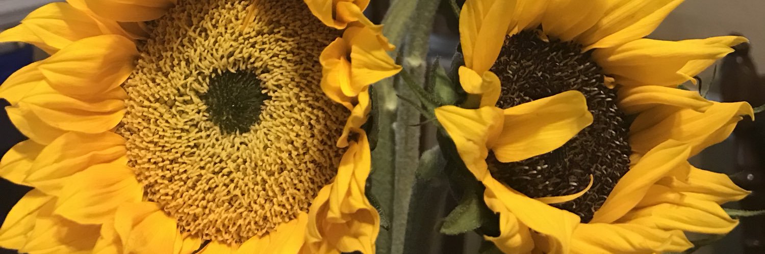 AlabamyChelle 🌻 banner