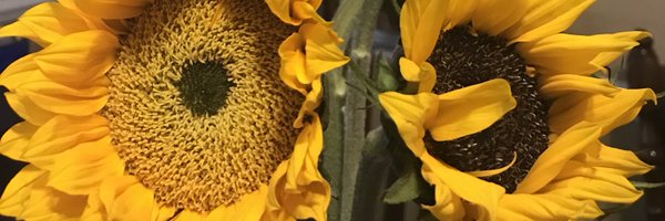 MyBlueWorld777 Profile Banner