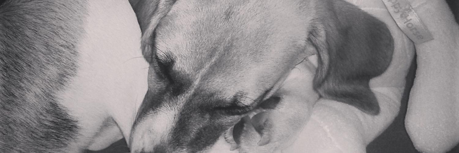 saintlu29's profile banner image