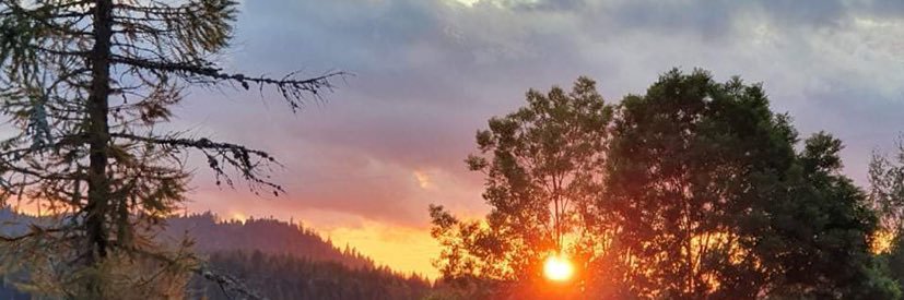 ludilu_'s profile banner image