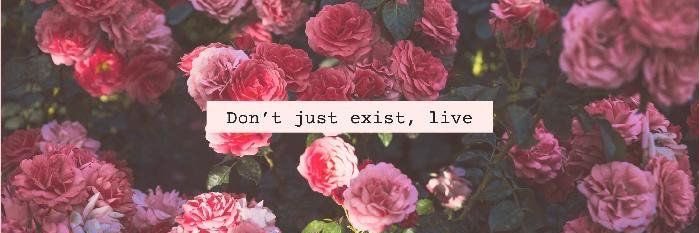 Bree 🫧🪬 banner