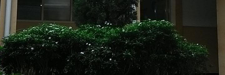 BukitRay's profile banner image